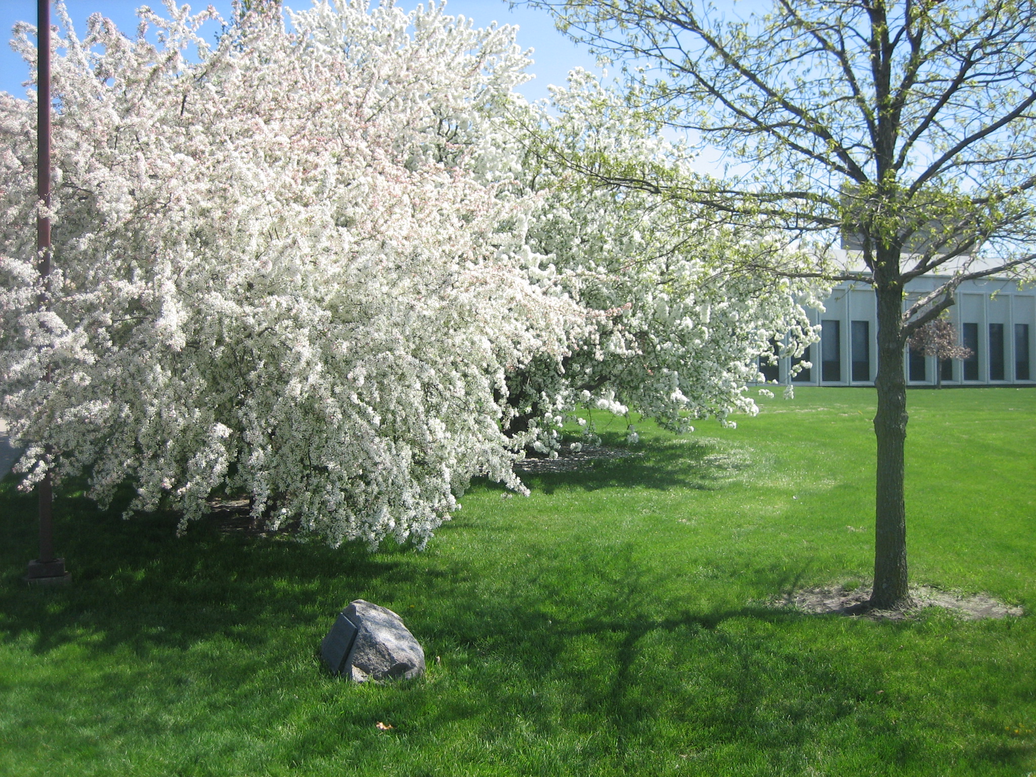 context photo
